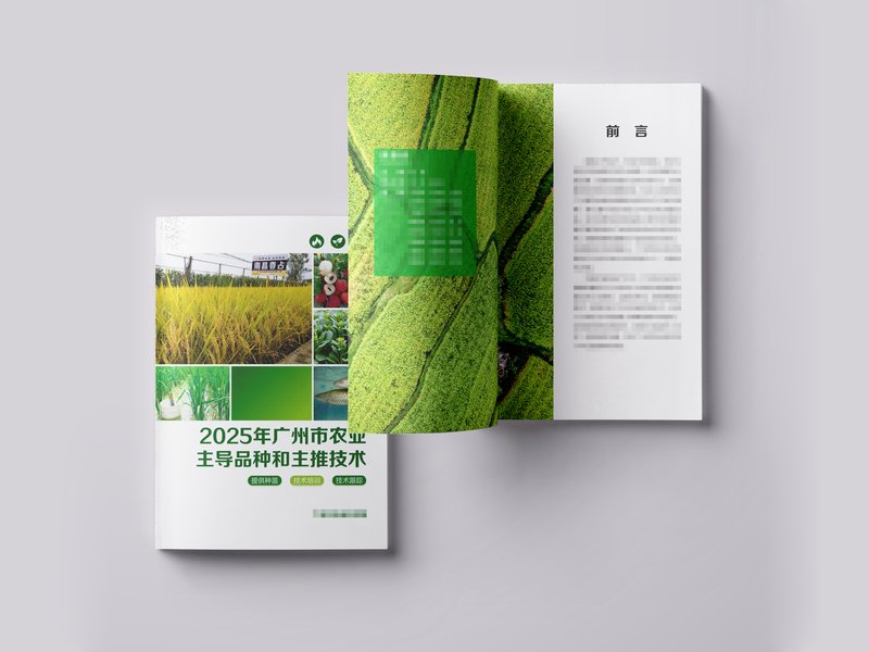 画册与宣传册印刷成品效果图